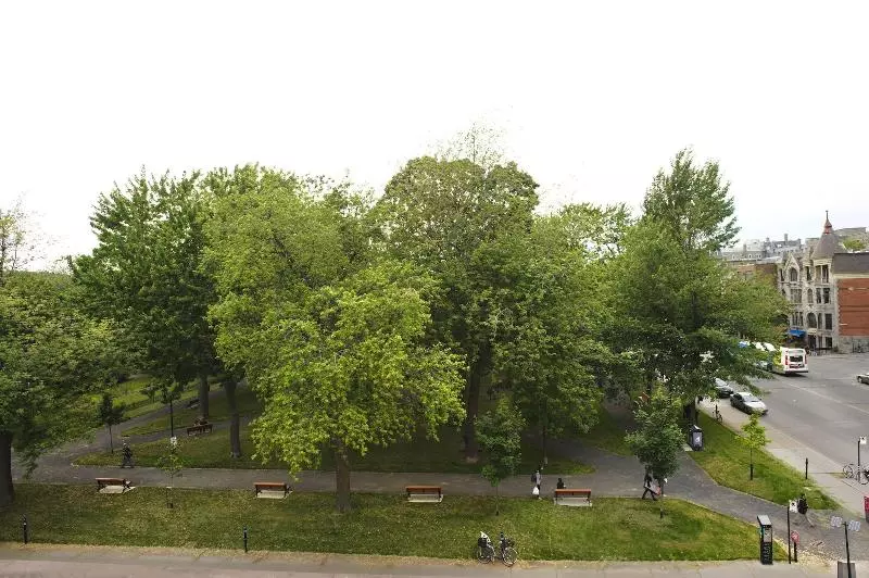 Fotos del hotel Auberge Du Carre Stlouis:  15