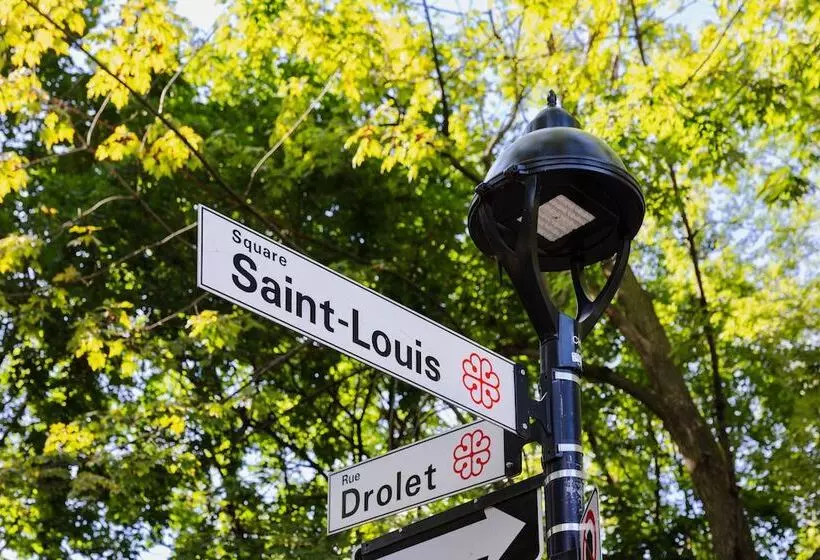 Fotos del hotel Auberge Du Carre Stlouis:  8