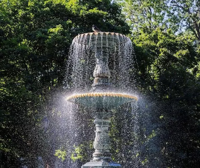 Fotos del hotel Auberge Du Carre Stlouis:  14