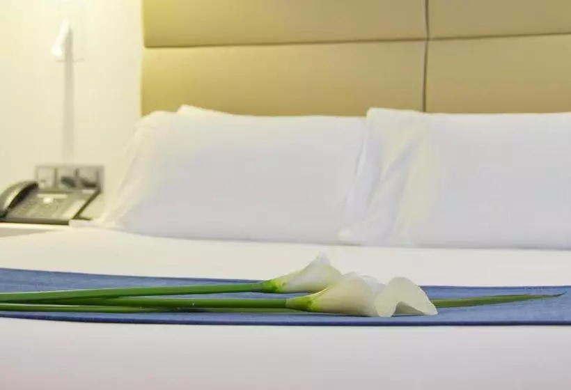 Fotos del hotel Miau:  24