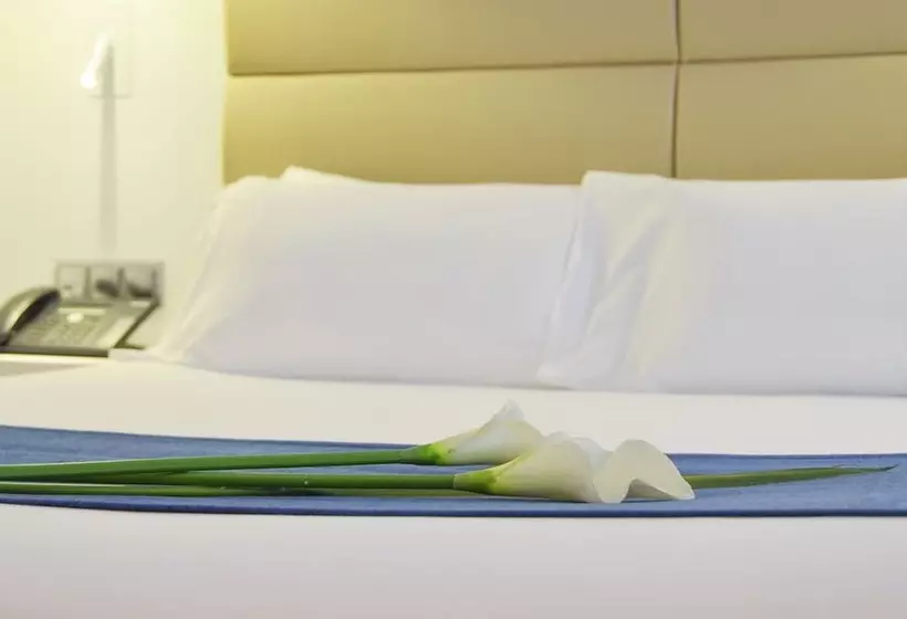 Fotos del hotel Miau:  7