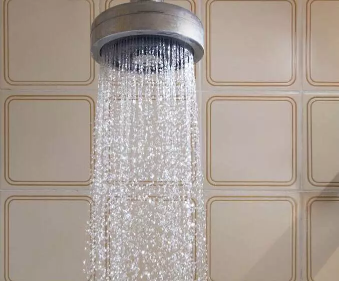 Fotos del hotel Hotel Moncloa:  4