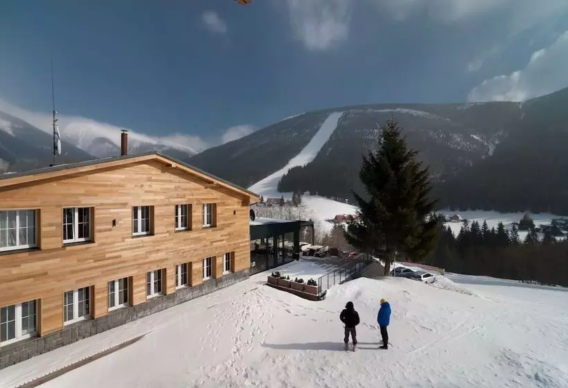 Fotos del hotel Olympie:  12