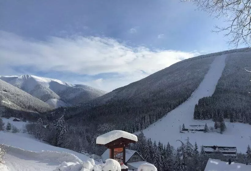 Fotos del hotel Olympie:  2