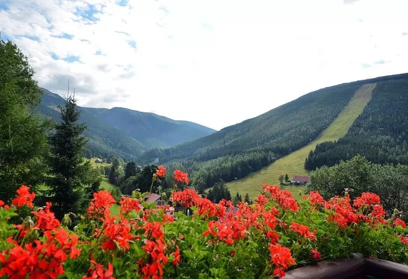 Fotos del hotel Olympie:  6