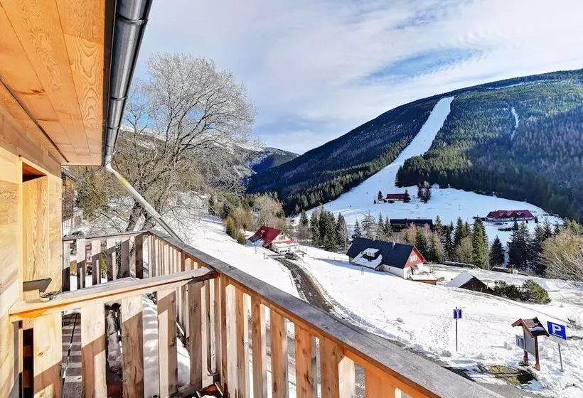 Fotos del hotel Olympie:  8