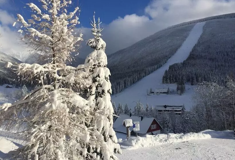 Fotos del hotel Olympie:  10