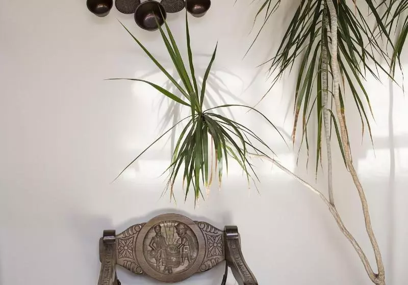 Fotos del hotel De Los Faroles:  20