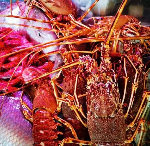 Fotos del hotel Embarcadero De Calahonda De Granada:  5