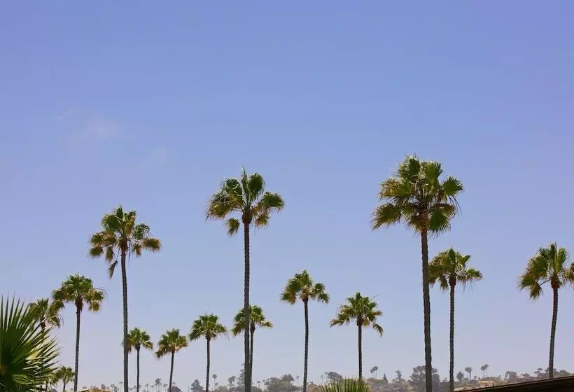 Fotos del hotel Ocean Beach:  20