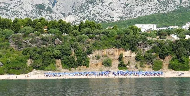 Fotos del hotel Ristorante La Conchiglia:  12