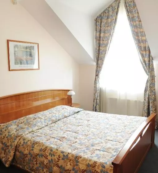 Fotos del hotel Amicus:  14