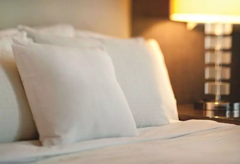 Fotos del hotel Doubletree By Hilton Beijing:  17