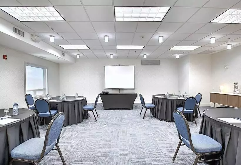 Fotos del hotel Holiday Inn Express Airportcalgary, An Ihg:  7