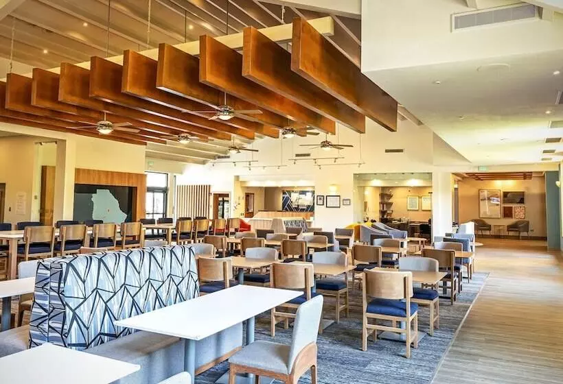 Fotos del hotel Holiday Inn Express Chihuahua, An Ihg:  17