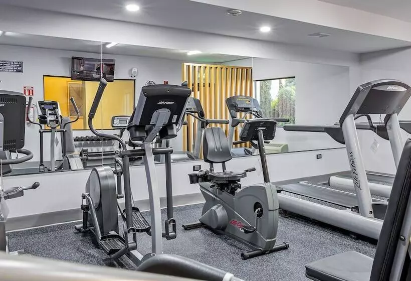 Fotos del hotel Holiday Inn Express Chihuahua, An Ihg:  4