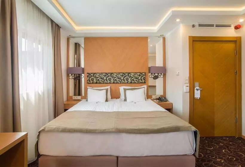 Fotos del hotel Marmara Hotel Budapest:  8