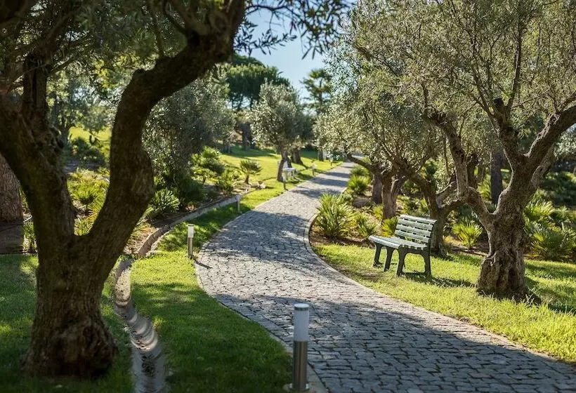 Fotos del hotel Sao Rafael Atlantico:  20