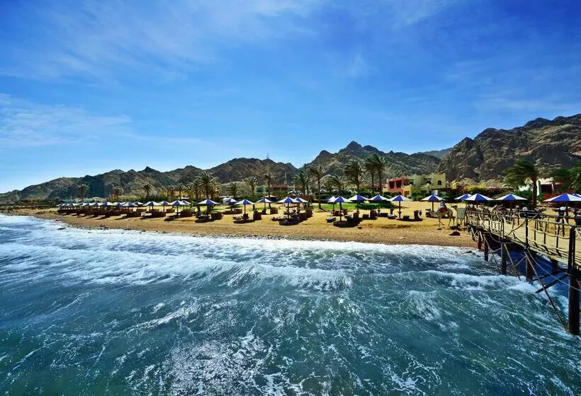 Fotos del hotel Tropitel Dahab Oasis:  8