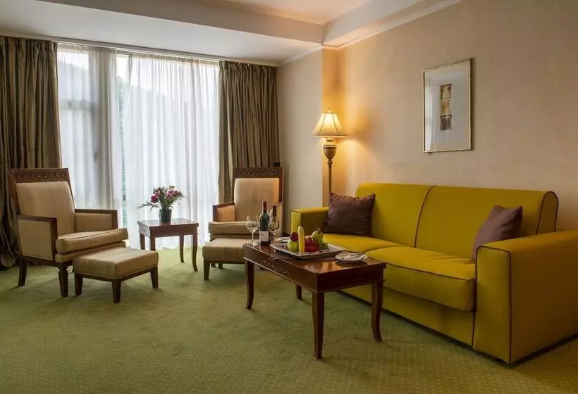 Fotos del hotel Hp Tower One Brasov:  9