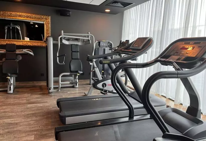 Fotos del hotel Pentahotel Derby:  3