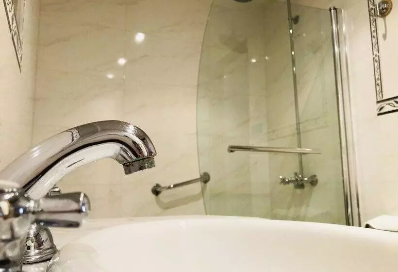 Fotos del hotel Le Vitral Baires Petit Hotel Boutique:  15