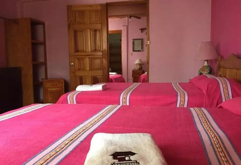 Fotos del hotel Cazomalli Oaxaca:  22