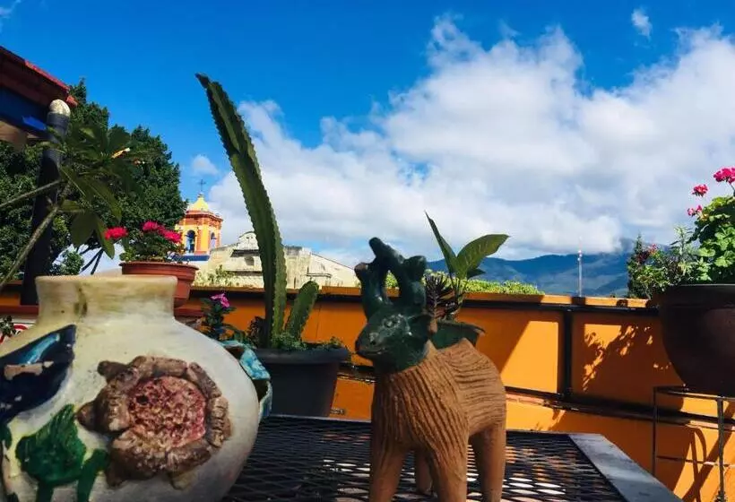 Fotos del hotel Cazomalli Oaxaca:  7