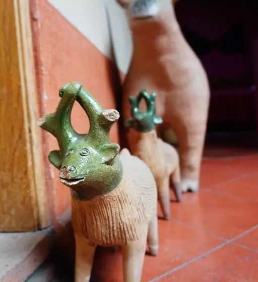 Fotos del hotel Cazomalli Oaxaca:  13