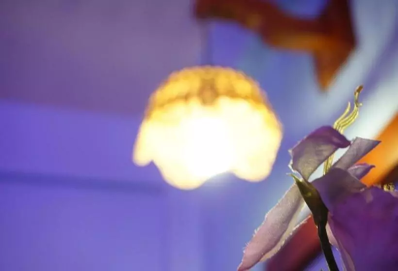 Fotos del hotel Cazomalli Oaxaca:  19