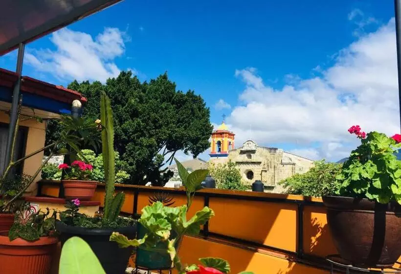 Fotos del hotel Cazomalli Oaxaca:  2