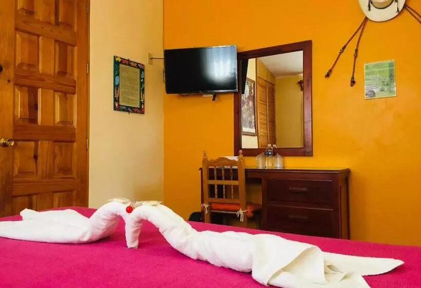 Fotos del hotel Cazomalli Oaxaca:  11