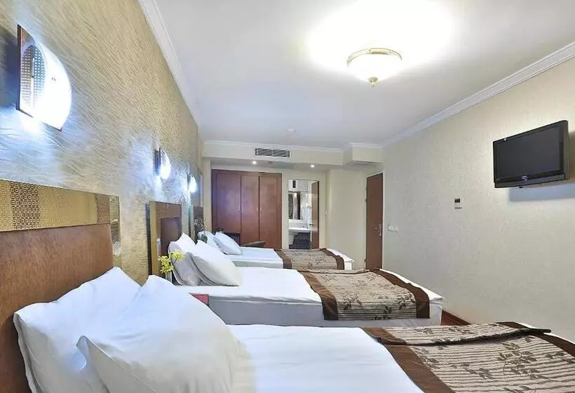 Fotos del hotel Grand Madrid:  21