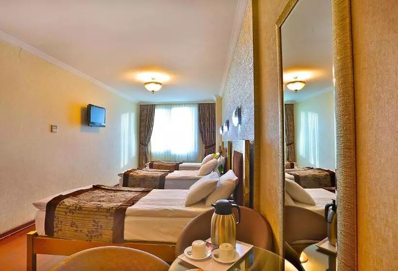 Fotos del hotel Grand Madrid:  22