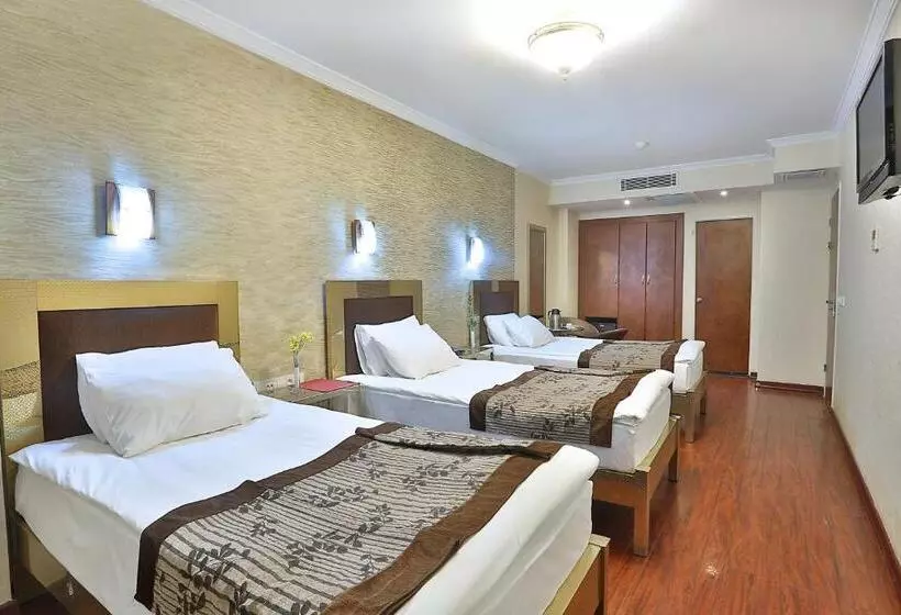 Fotos del hotel Grand Madrid:  11