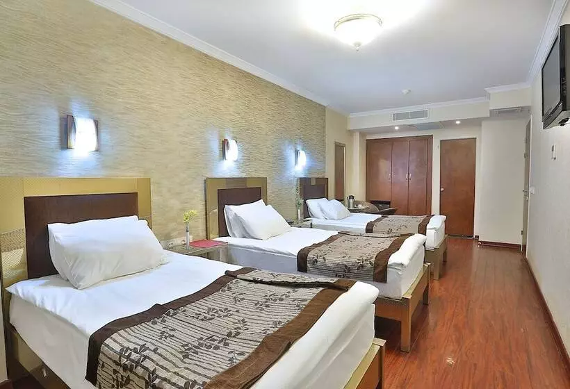 Fotos del hotel Grand Madrid:  14