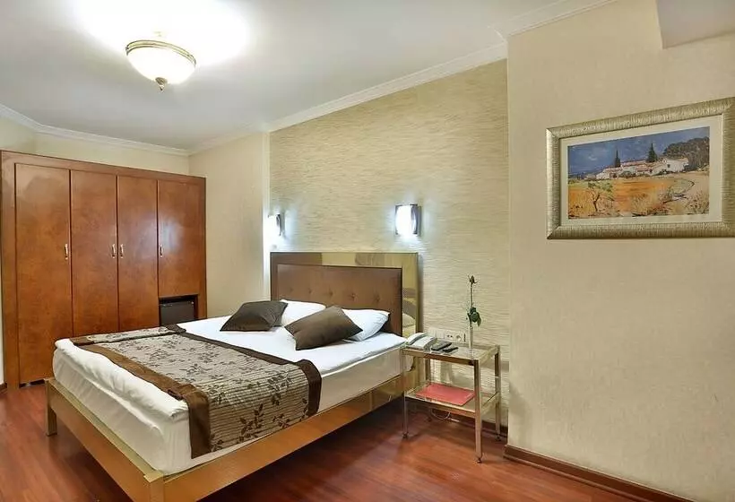 Fotos del hotel Grand Madrid:  10