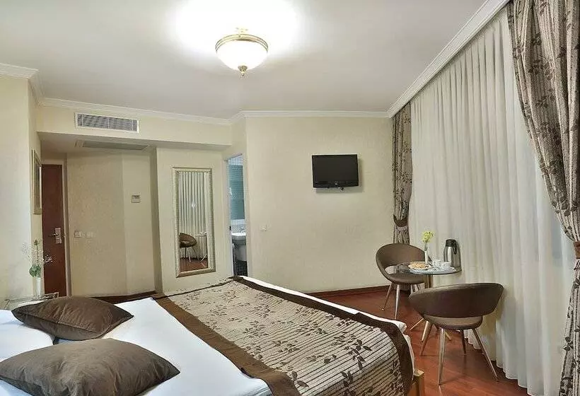 Fotos del hotel Grand Madrid:  15