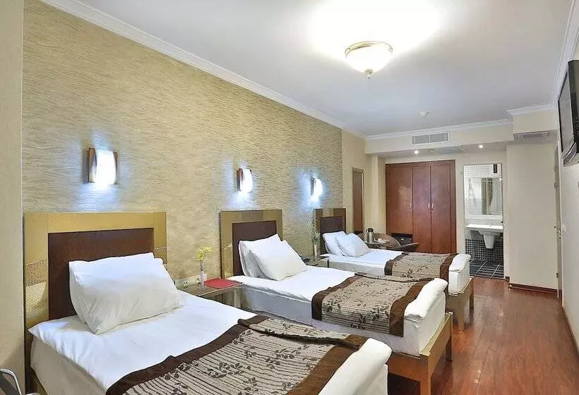 Fotos del hotel Grand Madrid:  16