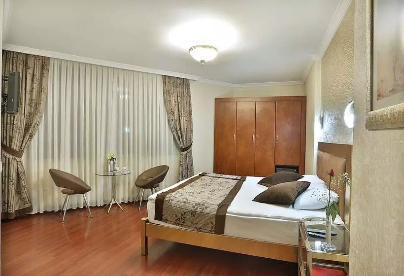 Fotos del hotel Grand Madrid:  4