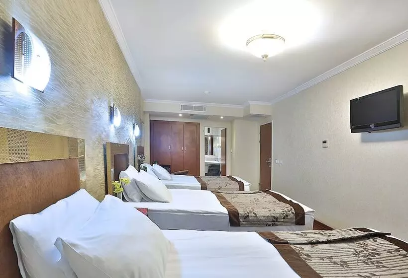 Fotos del hotel Grand Madrid:  19