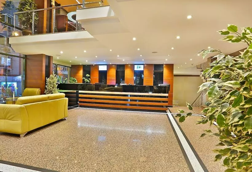 Fotos del hotel Grand Madrid:  8