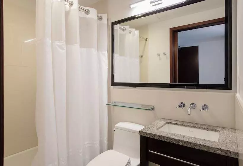 Fotos del hotel Marriott Vacation Club Pulse, New York City:  13