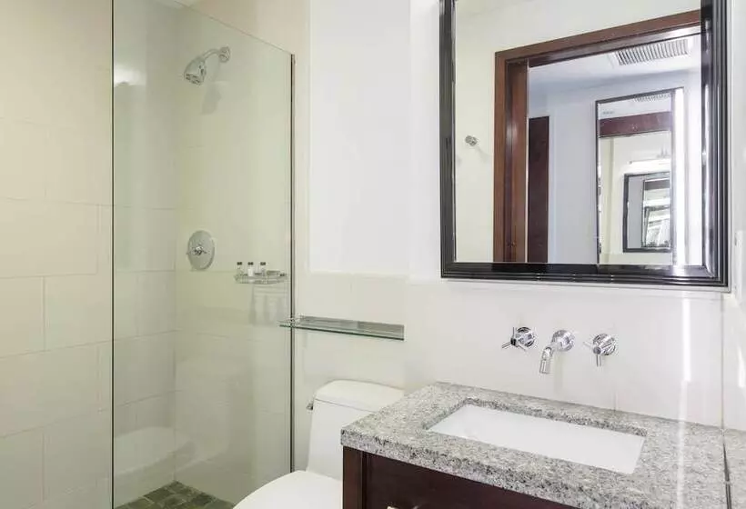 Fotos del hotel Marriott Vacation Club Pulse, New York City:  15