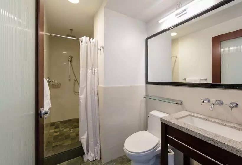 Fotos del hotel Marriott Vacation Club Pulse, New York City:  17