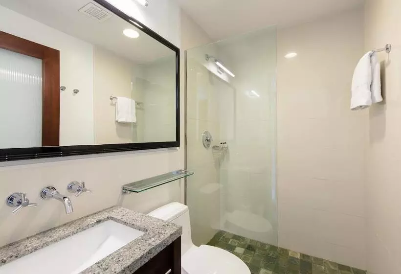 Fotos del hotel Marriott Vacation Club Pulse, New York City:  3