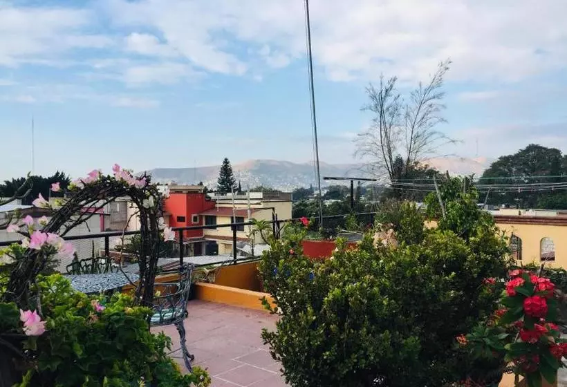 Fotos del hotel Cazomalli Oaxaca:  5