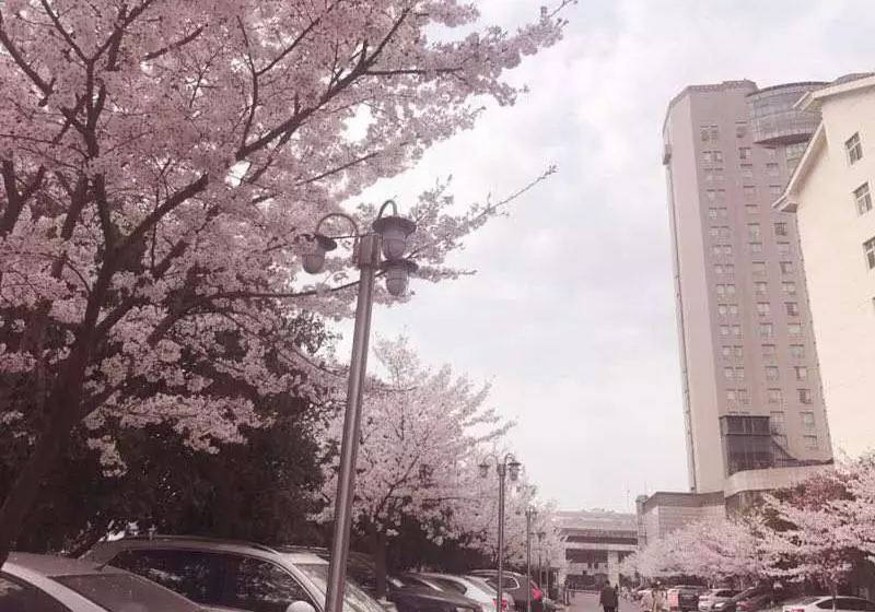 Fotos del hotel Xiongchu International:  11