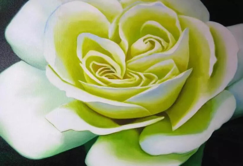 Fotos del hotel Diva:  6