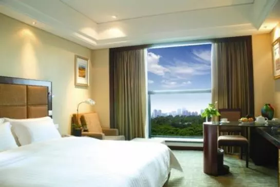 Fotos del hotel Daysun International:  12